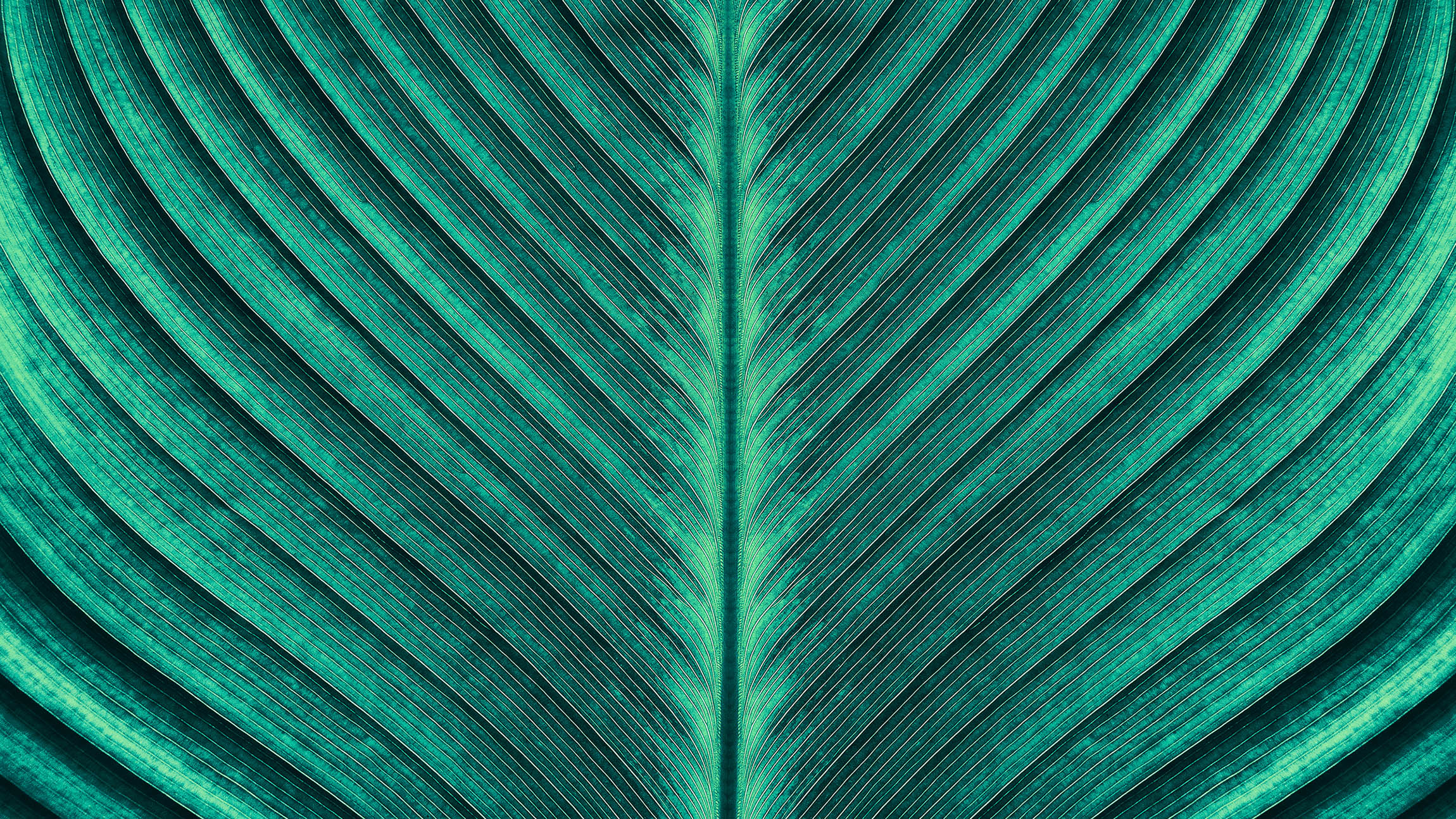 CSR – Our social responsibility