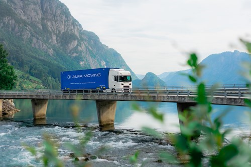 A group of business people from the Nordics discussing relocation services provider.