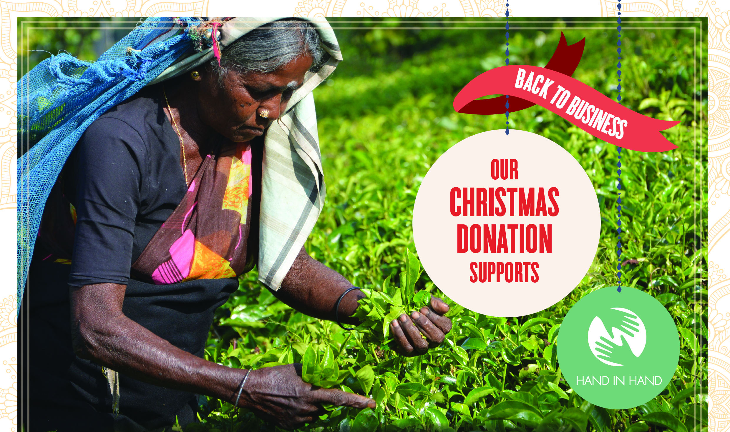 Season's Greetings from Alfa!