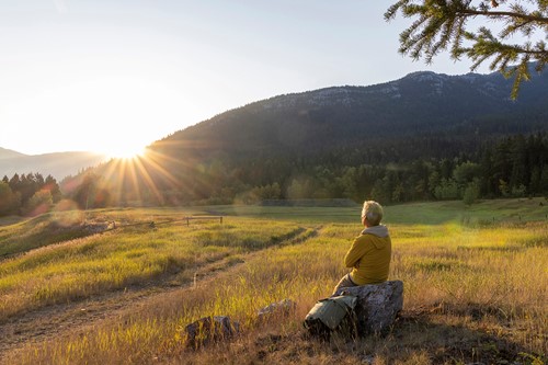 En person som sitter i ett landskap och tittar mot solen för att få lugn och ro i flyttprocessen.